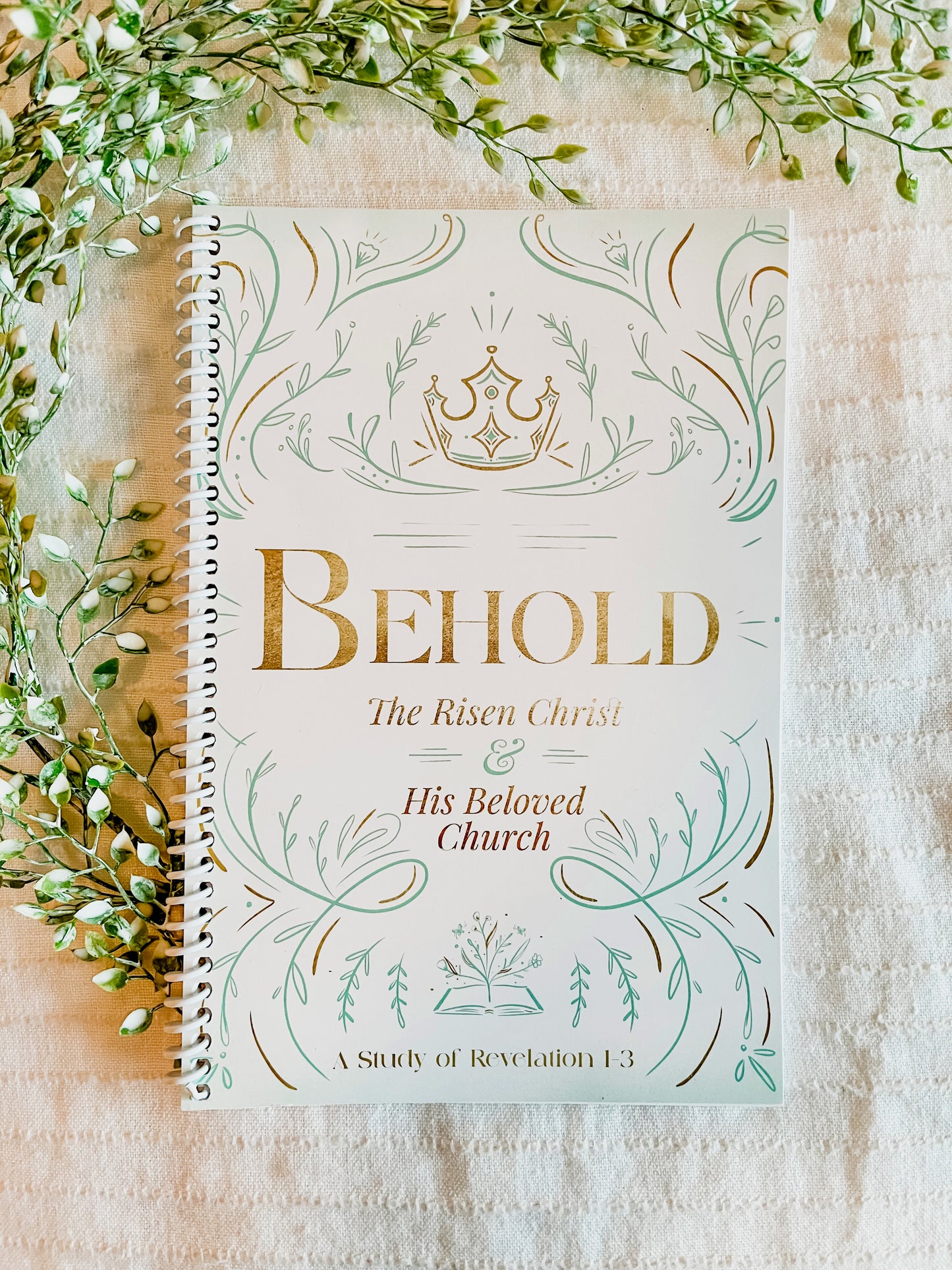 BEHOLD: A study of Revelation 1-3